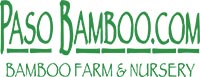 Paso Bamboo